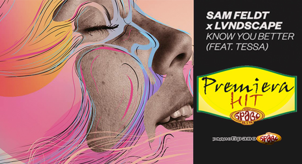Sam Feldt Feat. Lvndscape & Tessa – Know You Better (Премиера Хит)