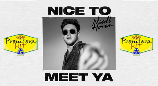 Niall Horan – Nice To Meet Ya (Премиера Хит)