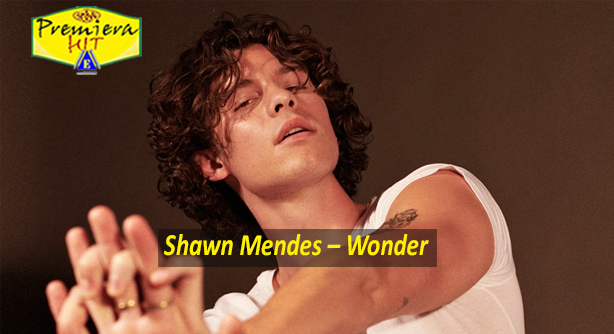 Shawn Mendes – Wonder (Премиера Хит)